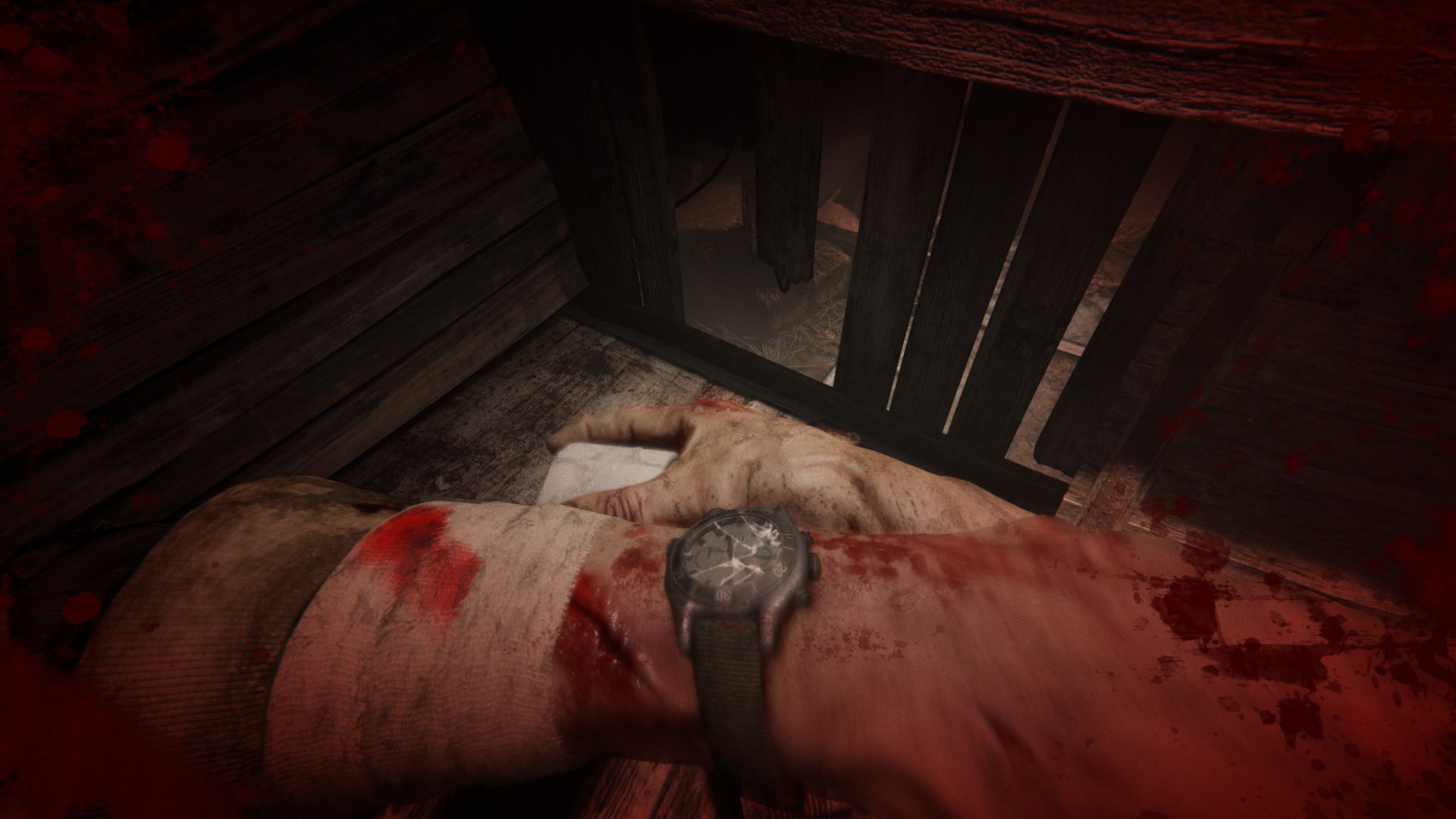 Outlast 2 - Imagen 6